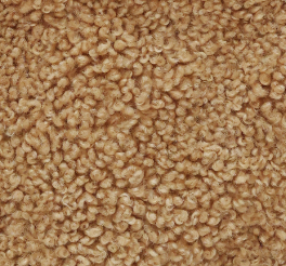 shearling cammello