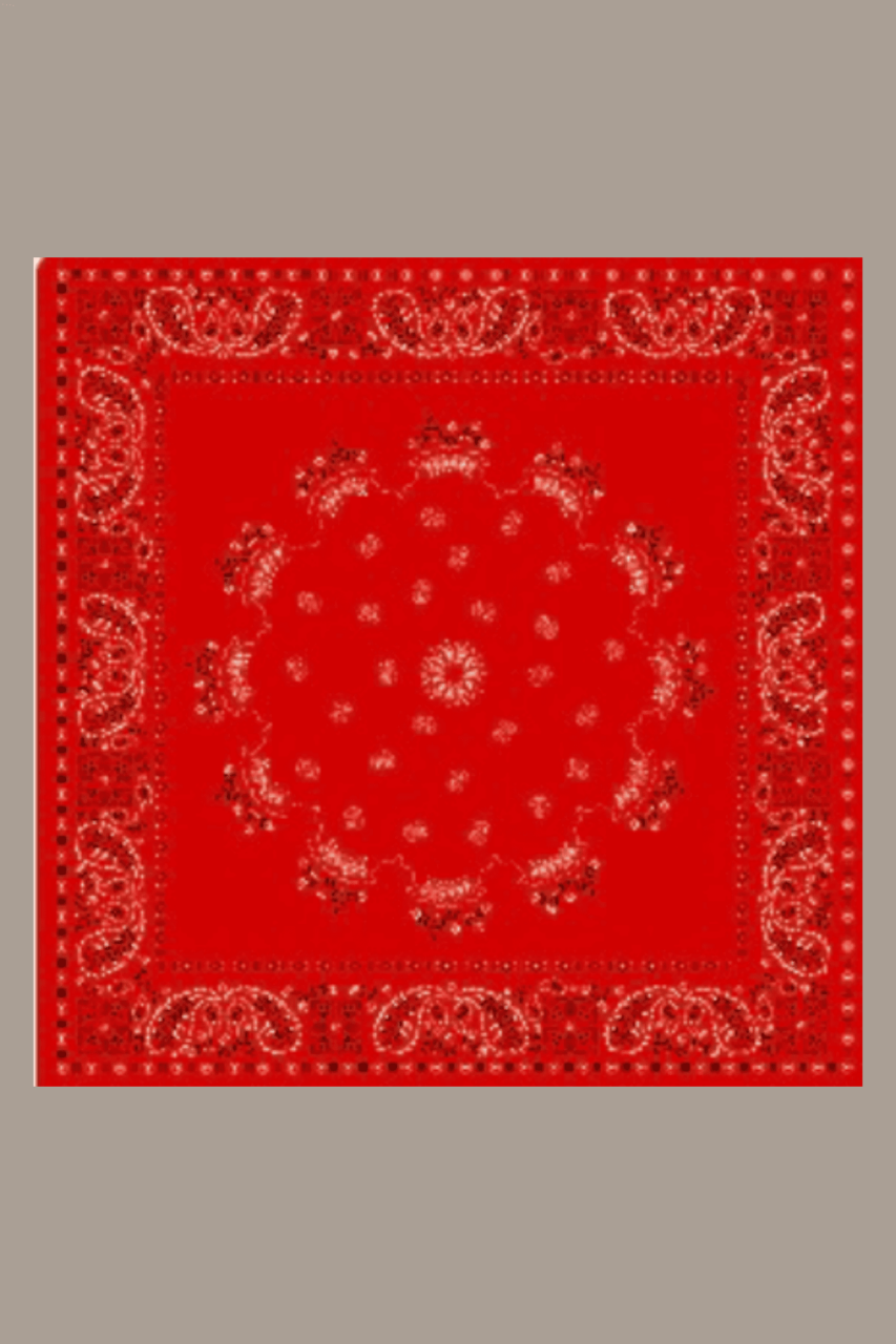 photo-output 6
